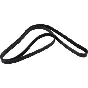 Keilrippenriemen 4518100100 von JP GROUP günstig für 14,78 € online kaufen