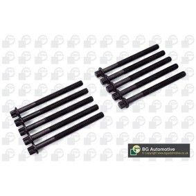 Zylinderkopfschraubensatz von BGA