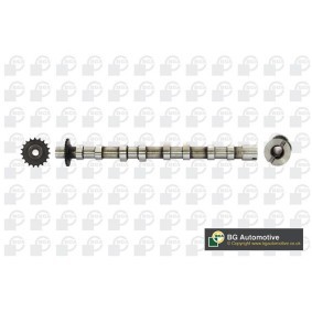 Nockenwelle CS6704 von BGA günstig für 327,33 € online kaufen