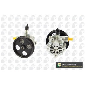 Köp Servopump av BGA PSP9540 till det låga priset 2171,19 kr
