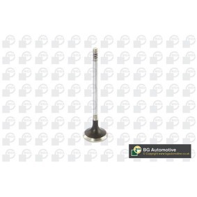Auslaßventil V123822 von BGA günstig für 9,28 € online kaufen