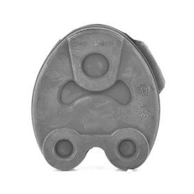 Halter, Abgasanlage BSG 60-700-162 von BSG günstig für 7,40 € online kaufen