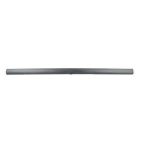 Abdeckung, Außenspiegel BSG 60-915-028 von BSG günstig für 134,83 € online kaufen