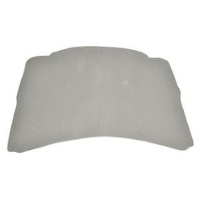 Motorraumdämmung BSG 60-922-006 von BSG günstig für 35,36 € online kaufen