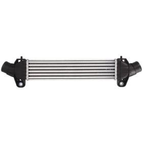 Compre Intercooler da THERMOTEC DAG009TT a um preço baixo por 92,28 €