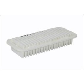 Luftfilter von MISFAT P175