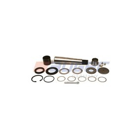 Acquista Kit riparazione, Perno fuso a snodo da AUGER 52567 a buon mercato per soli 48,66 €