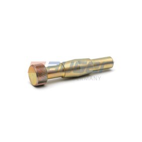 Schraube, Bremsscheibe des Herstellers AUGER - Originalware Artikelnummer: 55709