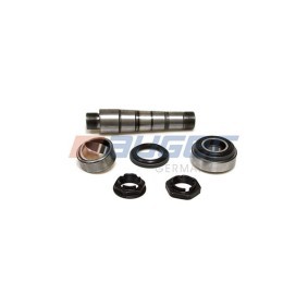 Reparatursatz, Achsschenkelbolzen 55711 RENAULT TRUCKS von AUGER