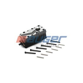 Lichtmaschinenregler des Herstellers AUGER - Originalware Artikelnummer: 80470