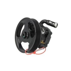 Achetez des Pompe de direction assistée LAUBER 55.6155 à prix pour 179,85 €