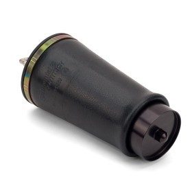 Luftfeder, Fahrwerk A-2859 von Arnott günstig für 364,51 € online kaufen