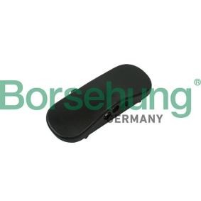 Scheibenwaschdüsen des Herstellers Borsehung - Originalware Artikelnummer: B18494