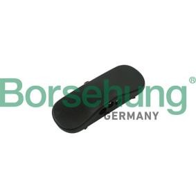 Scheibenwaschdüsen des Herstellers Borsehung - Originalware Artikelnummer: B18495