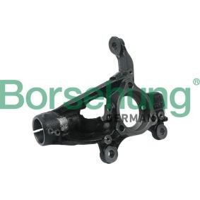 Achsschenkel des Herstellers Borsehung - Originalware Artikelnummer: B18508