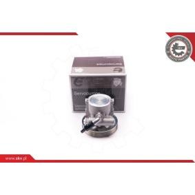 Servopumpe 10SKV218 von ESEN SKV günstig für 143,10 € online kaufen