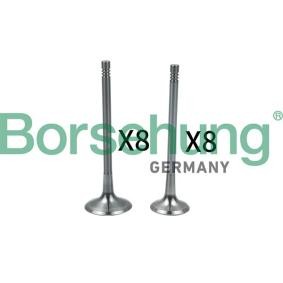 Ventilsatz, Einlass-/Auslassventil von Borsehung