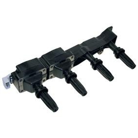 Zündspule BOBEN005 von LIZARTE günstig für 77,33 € online kaufen