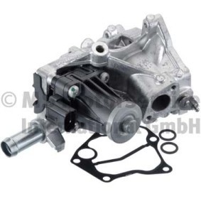 AGR-Modul 7.01881.06.0 von PIERBURG günstig für 227,47 € online kaufen
