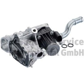 AGR-Modul 7.01881.07.0 von PIERBURG günstig für 234,75 € online kaufen