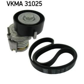 Acquista Kit Cinghie Poly-V da SKF VKMA 31025 a buon mercato per soli 63,21 €