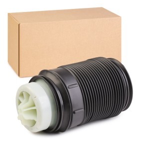 Comprar Muelle neumático, suspensión de RIDEX 4119A0029 a bajo precio de 111,24 €