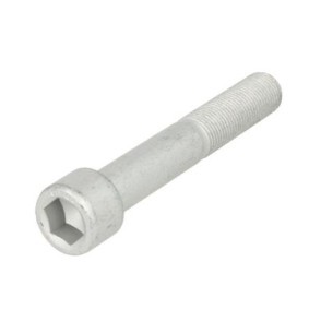 Schraube, Bremsscheibe des Herstellers BPW - Originalware Artikelnummer: 02.5016.70.16