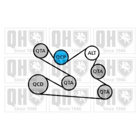 Compre Jogo de correias trapezoidais estriadas da QUINTON HAZELL QDK134 a um preço baixo por 164,90 €