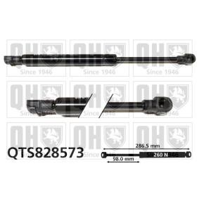 Motorhaubendämpfer QTS828573 von QUINTON HAZELL günstig für 36,63 € online kaufen