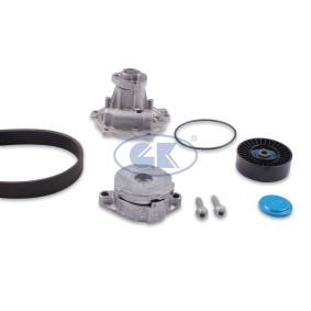 Wasserpumpe + Keilrippenriemensatz für VW von GK