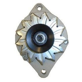 Lichtmaschine RAA14901 von DELCO REMY günstig für 118,72 € online kaufen