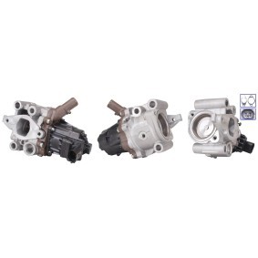 Compre Válvula EGR da LUCAS LEV0432 a um preço baixo por 288,23 €