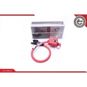 Batterie des Herstellers ESEN SKV - Originalware Artikelnummer: 96SKV301