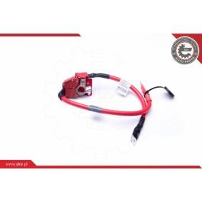 Batterie des Herstellers ESEN SKV - Originalware Artikelnummer: 96SKV303
