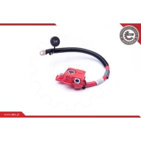 Batterie des Herstellers ESEN SKV - Originalware Artikelnummer: 96SKV304