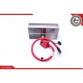 Batterie des Herstellers ESEN SKV - Originalware Artikelnummer: 96SKV305