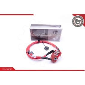 Batterie des Herstellers ESEN SKV - Originalware Artikelnummer: 96SKV307