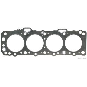 Compre Junta da cabeça do motor de HERTH+BUSS JAKOPARTS online para BLUEBIRD Traveller (W910) a preços moderados