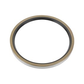 Wellendichtring, Radnabe des Herstellers SAF - Originalware Artikelnummer: 4.373.0010.00