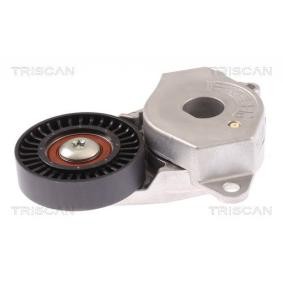 Spannrolle, Keilrippenriemen 8641 133014 von TRISCAN günstig für 236,85 € online kaufen