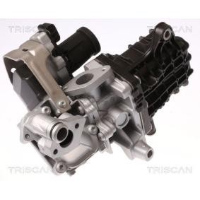 Acquista Valvola EGR da TRISCAN 8813 28046 a buon mercato per soli 566,02 €