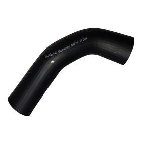 Compre Tubo flexível do ar de sobrealimentação da BUGIAD 81828 a um preço baixo por 32,68 €