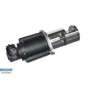 AGR Ventil des Herstellers BUGIAD - Originalware Artikelnummer: BGR13034