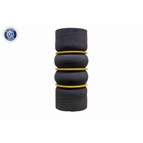 Compre Tubo flexível do ar de sobrealimentação da VAICO V42-0794 a um preço baixo por 43,34 €