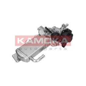 AGR-Modul für NISSAN von KAMOKA