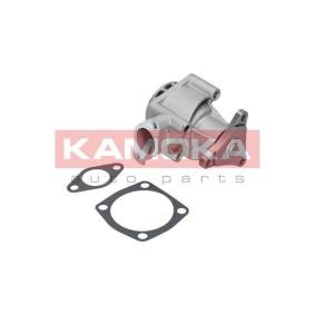 Comprar Kit frenos, disco de tambor de KAMOKA JQ213021 a bajo precio de 78,09 €
