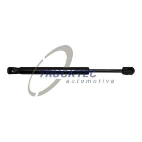 Compre Amortecedor de capô de TRUCKTEC AUTOMOTIVE online para 3 Sedan (F30, F80) a preços moderados