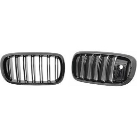Compre Grelha de DIEDERICHS online para X6 (F16, F86) a preços moderados