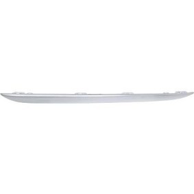Zierleiste, Stoßstange 1673067 von DIEDERICHS günstig für 38,92 € online kaufen