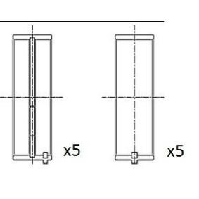 Kurbelwellenlager BM1007-025 von FAI AutoParts günstig für 18,66 € online kaufen